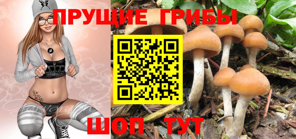 Псилоцибиновые грибы MAGIC MUSHROOMS Полевской